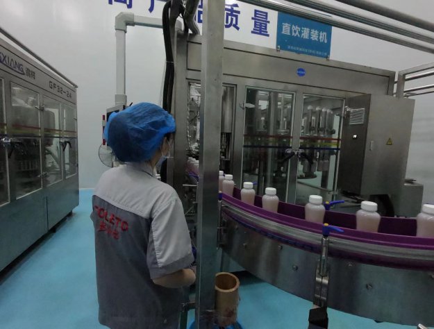 紅茶菌飲品生產車間